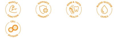 Ionic Vitamin D3 & K2 Drops